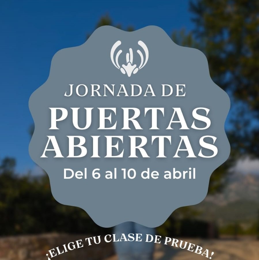 Taller de Yoga